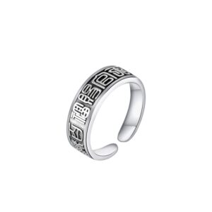 cdeny heaven official's blessing : adjustable open rings tian guan ci fu silver plated ring for men women pendant