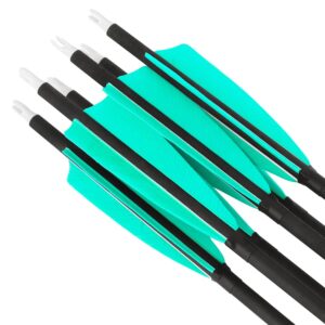 HNZMDY Archery Carbon Arrow Spine 500 Hunting Target Practice Arrows 28 30 31 Inch with Removable Tips for Compound & Recurve Bow 6/12PCS (31 inch/12 pcs, Light blue)