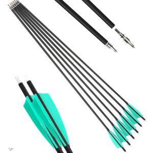 hnzmdy archery carbon arrow spine 500 hunting target practice arrows 28 30 31 inch with removable tips for compound & recurve bow 6/12pcs (31 inch/12 pcs, light blue)