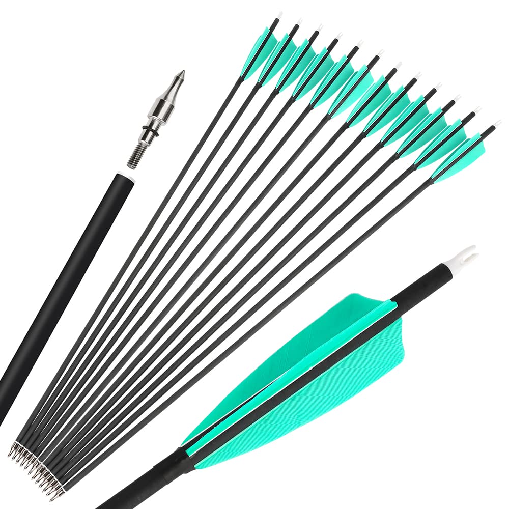 HNZMDY Archery Carbon Arrow Spine 500 Hunting Target Practice Arrows 28 30 31 Inch with Removable Tips for Compound & Recurve Bow 6/12PCS (31 inch/12 pcs, Light blue)