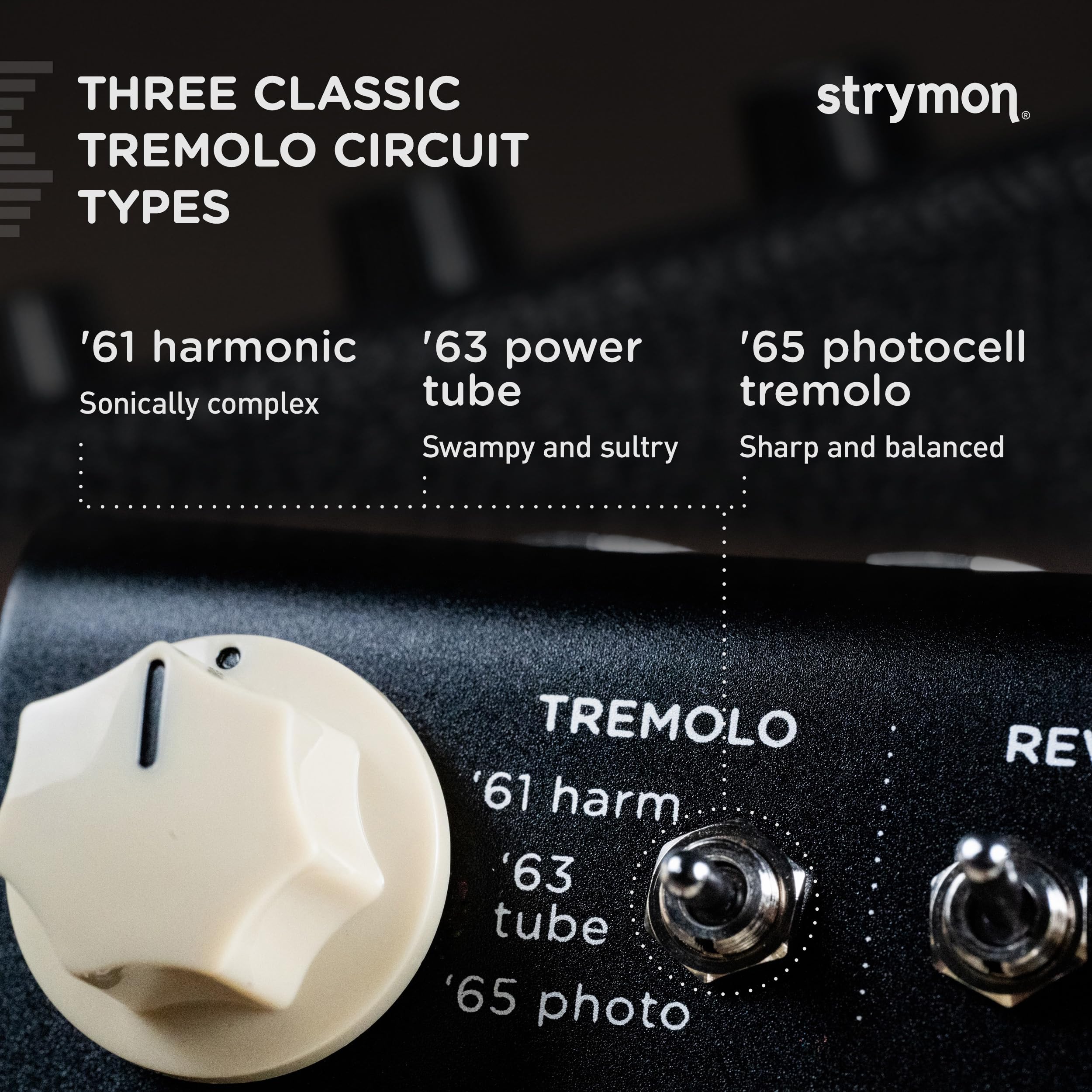 Strymon Flint V2 Tremolo and Reverb Guitar Effects Pedal for Electric and Acoustic Guitar, Synths, Vocals and Keyboards