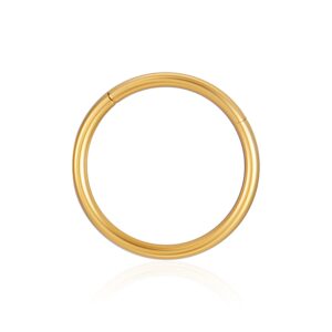 2 Pcs a Set G23 Titanium Steel Piercing-Ring Hinged Nose Rings Hoop Septum Clicker Ring Cartilage Tragus Piercing Diameter 6mm 8mm 10mm 12mm (Gold,G23 Titanium, 12mm)