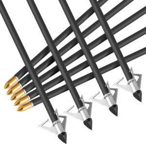 DEEPOWER 6 Pack 31 inch 100% Carbon Arrows with Lighted Nocks and Broadheads for Compound Bow and Recurve Bow Shaft Spine 350/400/500