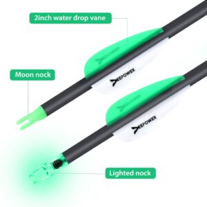 DEEPOWER 6 Pack 31 inch 100% Carbon Arrows with Lighted Nocks and Broadheads for Compound Bow and Recurve Bow Shaft Spine 350/400/500