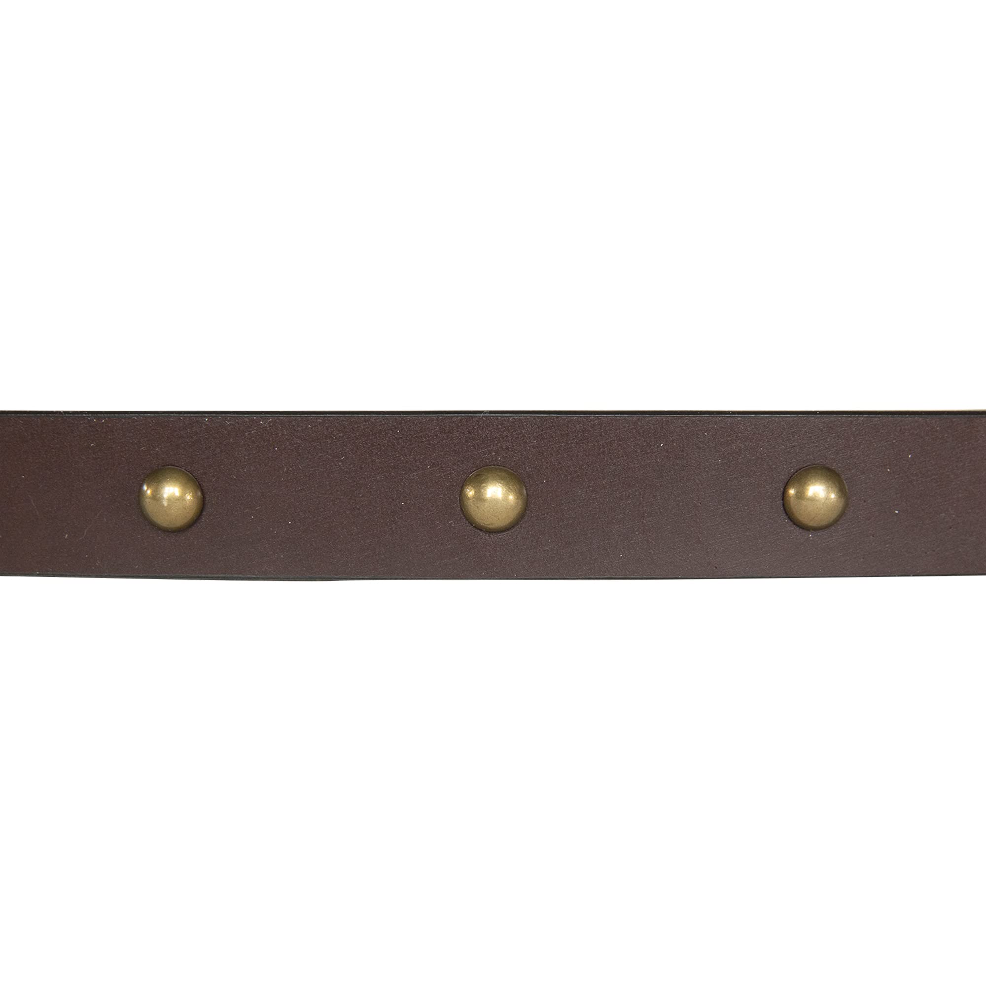 Lucky Brand Women Leather Bold Fashion Statement Belts, Domed Studded-Brown, XL (34-35")