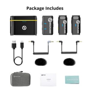 Hollyland Lark M1 Wireless Lavalier Microphone, Dual-Channel Lapel Mic with Noise Cancellation, 656ft 8h, Compatible with iPhone Camera YouTube Video Recording Live Stream Podcast Interview Vlog