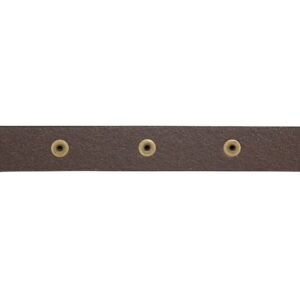 Lucky Brand Women Leather Bold Fashion Statement Belts, Domed Studded-Brown, XL (34-35")