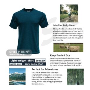 SHEEP RUN Men's Merino Wool Lightweight Hiking Running Workout Breathable Base Layer T Shirt (Seaweed Brown, Medium)