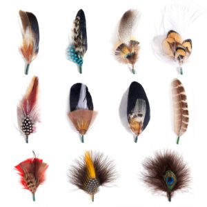 mix brown hat feathers, assorted natural feather packs accessories for fedora cowboy hats, pork pie trilby hats (11 pcs)