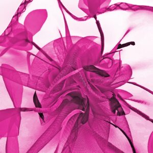 TS Fascinators Hat Mesh Floral Feather Fascinator Headband for Wedding Cocktail Tea Party or Special Occasion(Fuchsia)