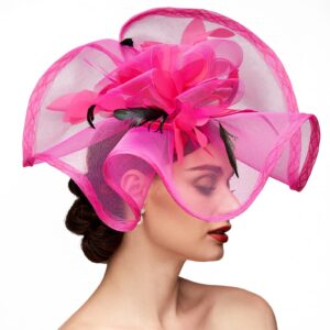 TS Fascinators Hat Mesh Floral Feather Fascinator Headband for Wedding Cocktail Tea Party or Special Occasion(Fuchsia)