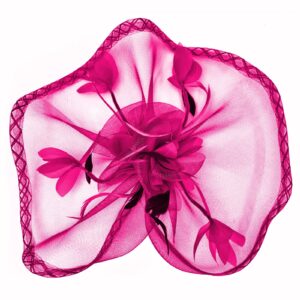 TS Fascinators Hat Mesh Floral Feather Fascinator Headband for Wedding Cocktail Tea Party or Special Occasion(Fuchsia)