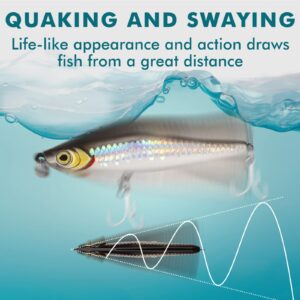 TRUSCEND Pencil Fishing Lures with BKK Hooks, Quake Sinking Floating Pencil Popper, Trembling Sinking Dog Walker for Freshwater and Saltwater, Long-Cast Topwater Fishing Lures, Bass Pike Fishing