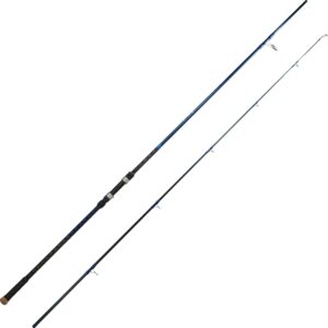 BERRYPRO Surf Spinning Rod Full Carbon Surf Fishing Rod with Fuji Guide (9'/10'/11'/12') (11'-Spinning-2pc)