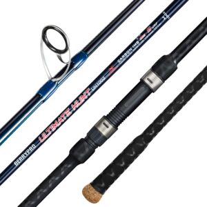 BERRYPRO Surf Spinning Rod Full Carbon Surf Fishing Rod with Fuji Guide (9'/10'/11'/12') (11'-Spinning-2pc)