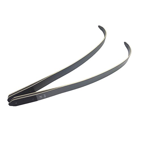 ZSHJGJR Archery Black Hunter Recurve Bow Limbs Replacement Bow Limbs 25-65lbs Right/Left Hand (30lbs, Right Hand)