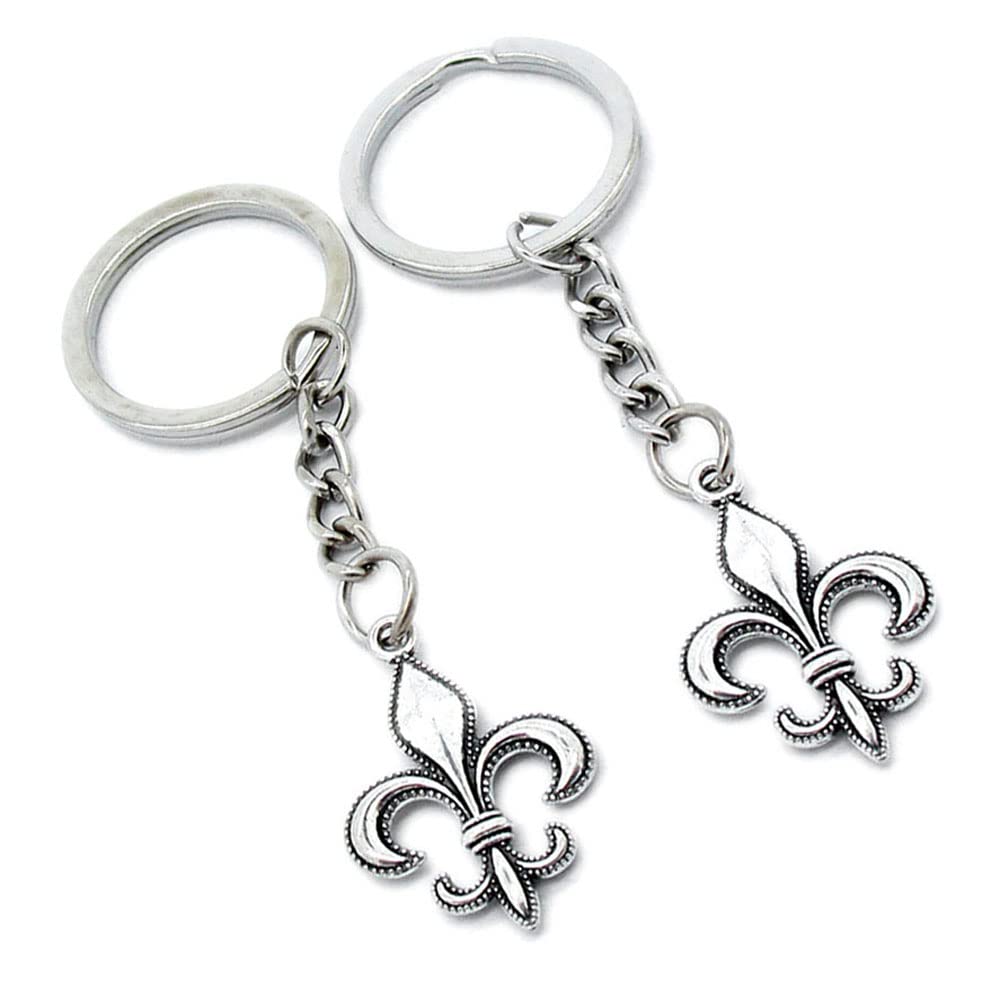 100 Pieces Keychain Keyring Door Car Key Chain Ring Tag Charms Supplies I5UO1G Fleur De Lis Iris Lily