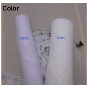 Ts Pearls Wedding Veil， with Lace Appliques Edge 2.5 Meters Long Bridal Veil， with Comb 250CM Veil for Bride (Color : White, Item Length : 250cm)