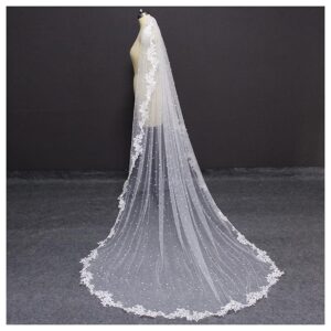 Ts Pearls Wedding Veil， with Lace Appliques Edge 2.5 Meters Long Bridal Veil， with Comb 250CM Veil for Bride (Color : White, Item Length : 250cm)