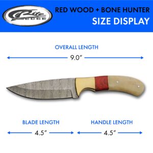 SZCO Supplies 9" Bone/Red Wood Handle Damascus Steel Outdoor Hunting Knife With Sheath