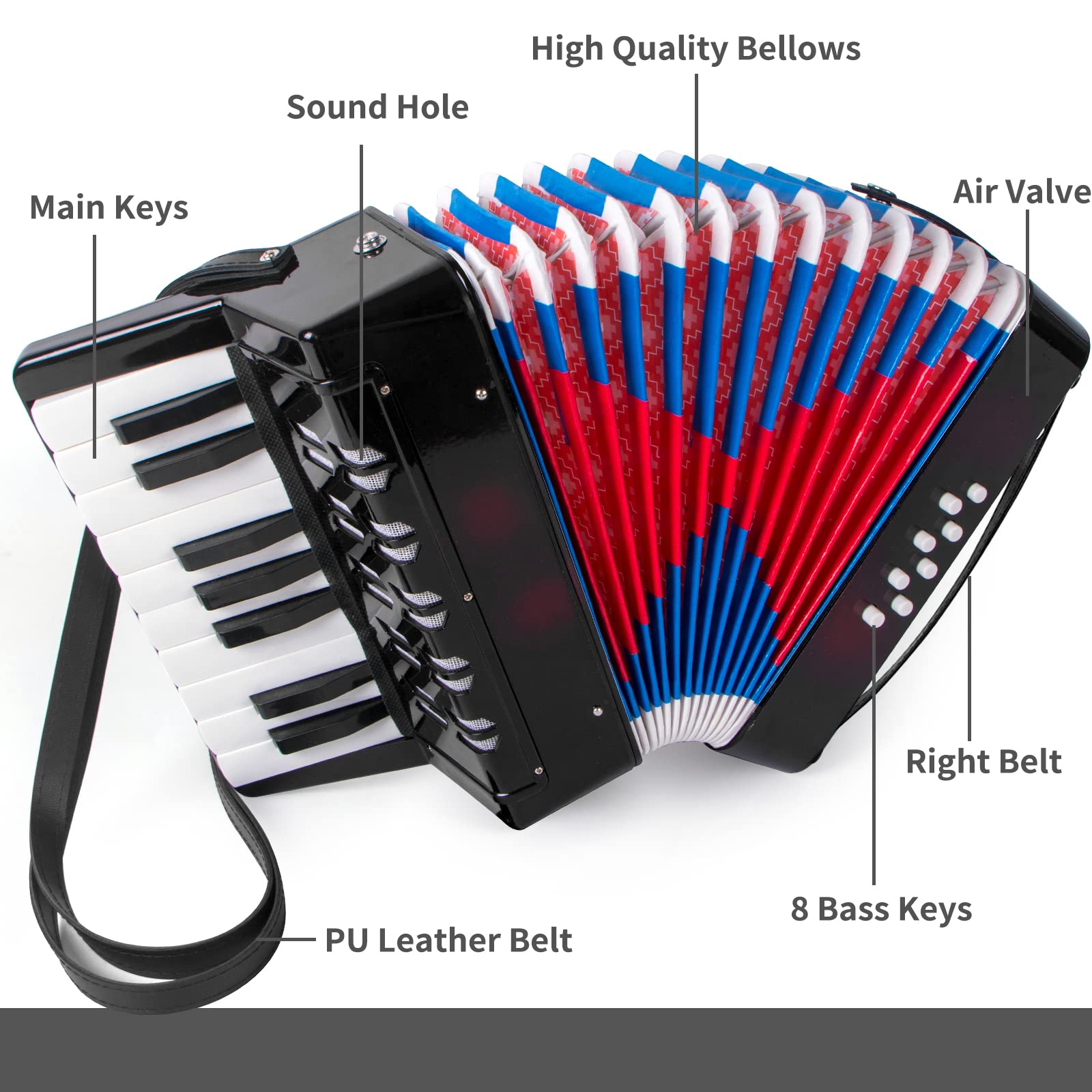 Accordion, 17 Keys Piano Accordion for Kids Students 8 Bass with Straps for Beginners Student Educational Musical Instrument (Black)