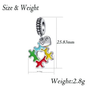 DWJSu Heart Autism Charms fit Pandora Bracelet and Necklace Awareness Puzzle Piece Enamel Love ASD Dangle Bead Charm