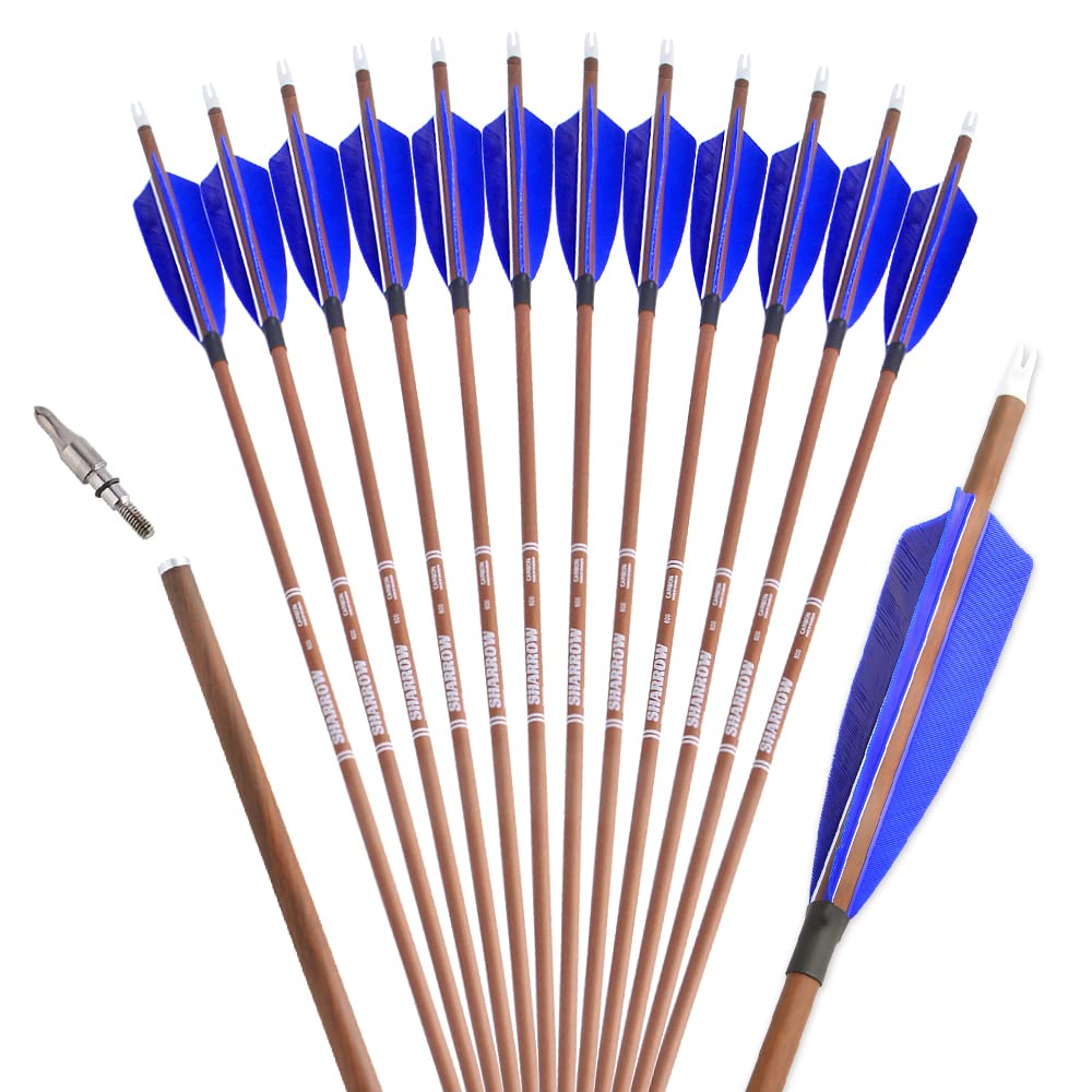 ZSHJGJR 31" Archery Carbon Arrows Spine 340 400 500 600 Hunting Arrows with Removable Tips Natural Feather Targeting Arrows for Compound & Recurve & Traditional Bow 6/12pcs (Spine 340, blue, 12)