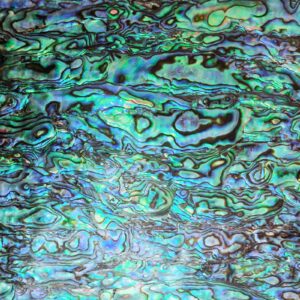 GOMMO Blue Paua Shell Veneer Sheet Enhanced for Inlay and Overlay Flat(9.4" x 5.5" x 0.007")(New Zealand Blue Abalone)