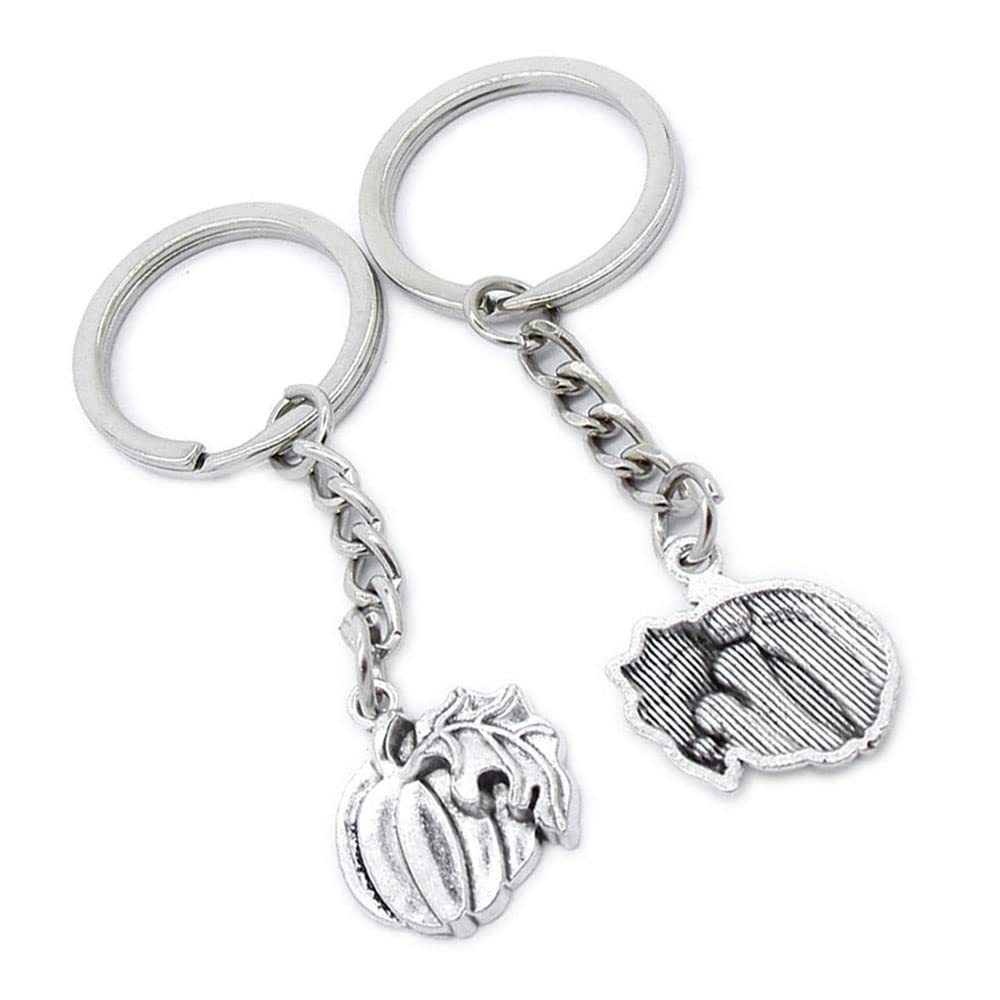 100 Pieces Keychain Keyring Door Car Key Chain Ring Tag Charms Supplies DB2S3Y Pumpkin