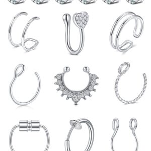 QWALIT Fake Septum Nose Rings for Women, Fake Nose Piercing Hoop, Stud, Helix Earring