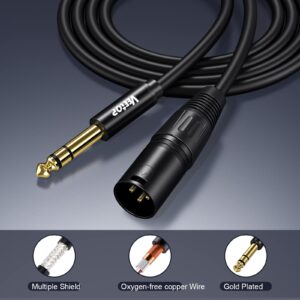 Veetop 1/4 Inch TRS to XLR Male Cable, Balanced 6.35mm Quarter inch TRS Plug to 3-pin XLR Male, Quarter inch TRS Male to XLR Male Microphone Cable, 10 Feet