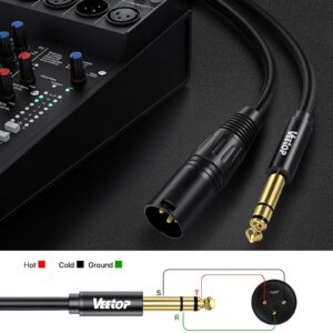 Veetop 1/4 Inch TRS to XLR Male Cable, Balanced 6.35mm Quarter inch TRS Plug to 3-pin XLR Male, Quarter inch TRS Male to XLR Male Microphone Cable, 10 Feet