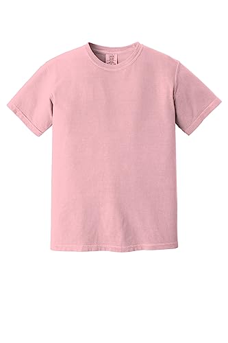 Comfort Colors Men's Adult Short Sleeve Tee, Style 1717 (Large, Light Blossom)