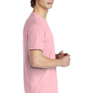 Comfort Colors Men's Adult Short Sleeve Tee, Style 1717 (Large, Light Blossom)