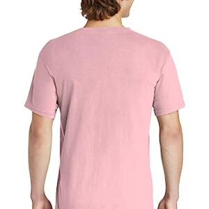 Comfort Colors Men's Adult Short Sleeve Tee, Style 1717 (Large, Light Blossom)