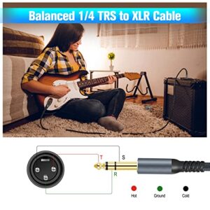 Twozoh XLR Male to 1/4 TRS Stereo Audio Cable 30FT, Braided Jack 6.35mm to XLR Male 3Pin Guitar Cable (Professional/HiFi)