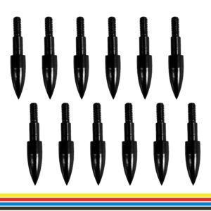 12pcs Archery Arrow Tips 100 Grain Field Tips 5/16 Inch Screw in Bullet Points, Archery Target Crossbow Practice Tips for Arrows Recurve Bow Compound Bow, Hunting Bow and Arrow Target Practice