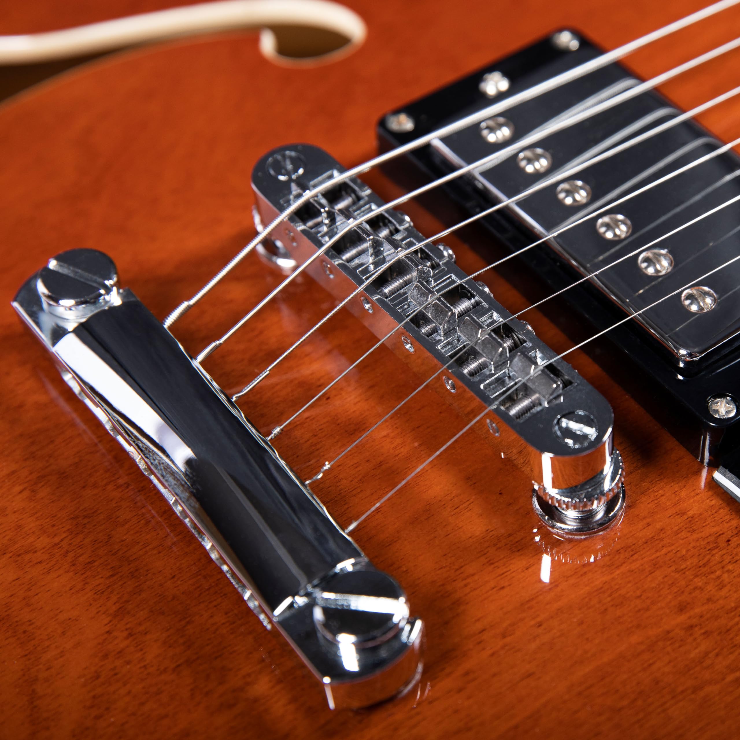 Redid Semi-Hollow Body Electric Guitar RD-100 Jazz Guitar with F-Hole,Maple neck,humbucker Pickups(Brown)