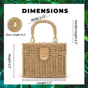 Handwoven Rattan Bag for women-Wicker Woven Square Crossbody vintage Chic Casual Beach Boho Tote Bag with tassel Ornaments(Beige)