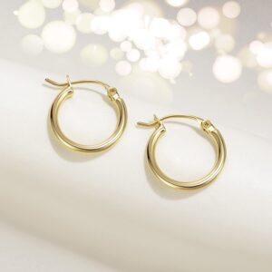 GIORGIA GIBBS 14K Gold Hoop Earrings for Women Trendy Well-polished Finish Round Fine Jewellery Brass with 14K Gold