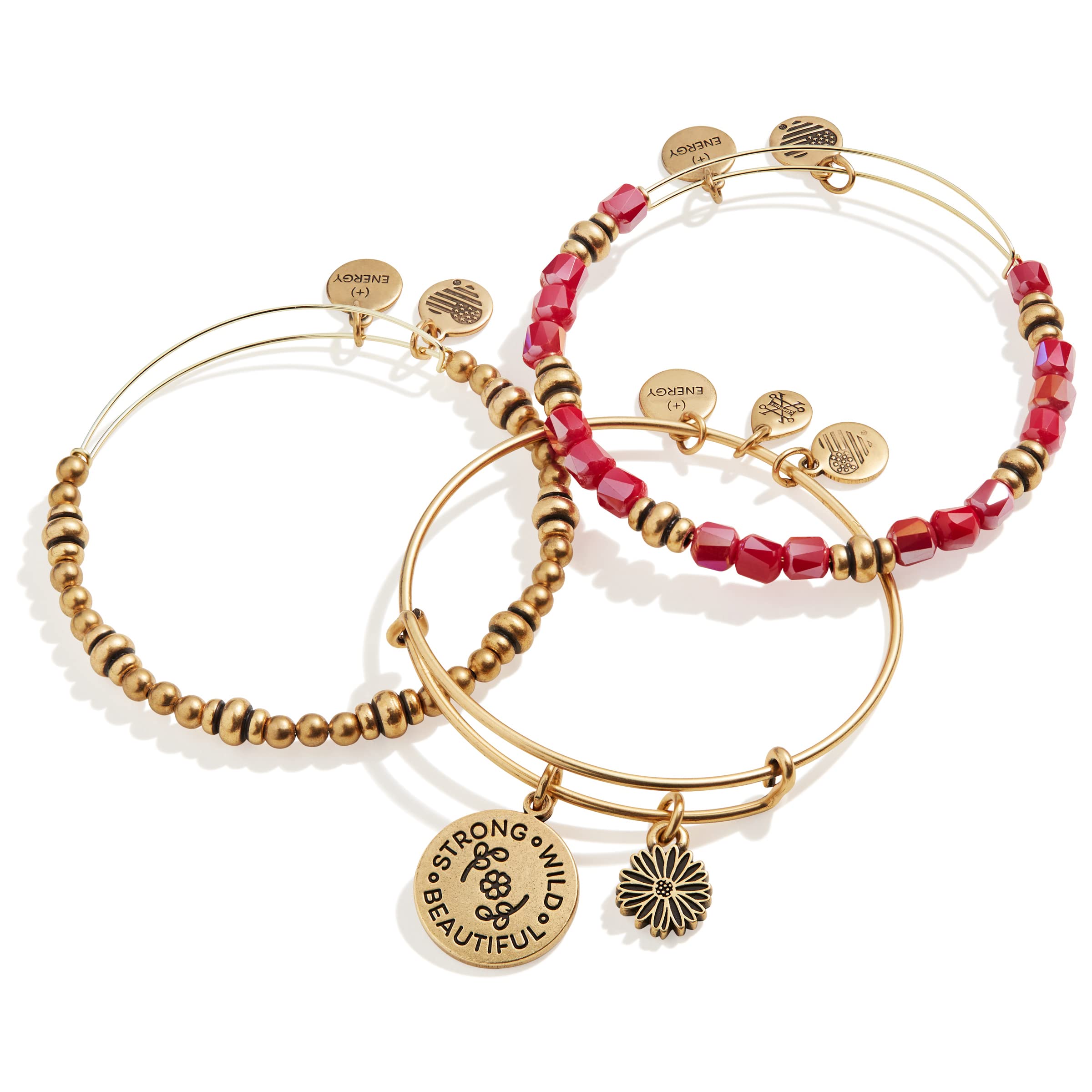 Alex and Ani Connections Expandable Bangle for Women, I Trust The Strength Of My Soul Charm, Set of 2, Rafaelian Gold Finish, 2 to 3.5 in