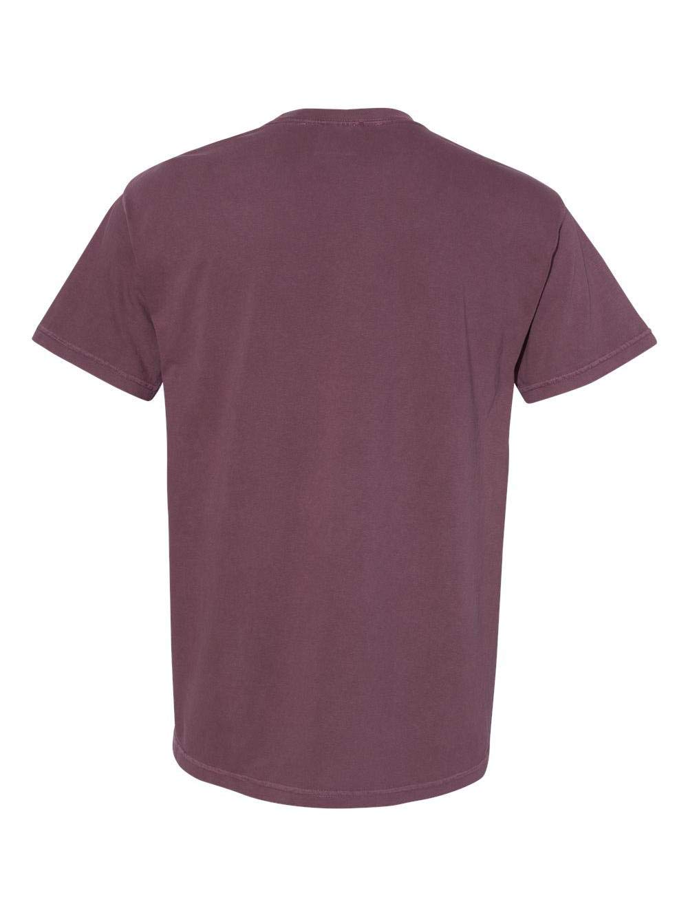 Comfort Colors Men's Adult Short Sleeve Tee, Style 1717 (X-Large, Purple Haze)