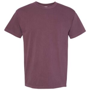 Comfort Colors Men's Adult Short Sleeve Tee, Style 1717 (X-Large, Purple Haze)