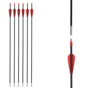 6875 Fiberglass Arrows Archery 24 Inch Target Shooting Safetyglass Recurve Bows Suitable for Youth Children Woman Beginner 6pcs/Pack (tigerspot red Vanes)