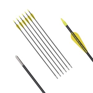 6875 Fiberglass Arrows Archery 26 Inch Target Shooting Safetyglass Recurve Bows Suitable for Youth Children Woman Beginner 6pcs/Pack (tigerspot Yellow Vanes)