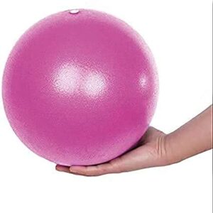 Fsadwnn Exercise Ball Small,Pilates Ball 9 Inch Core Ball,Small Exercise Ball with Pump,Barre Ball,Mini Bender Ball, Pilates, Yoga, Workout, Bender, Core Training and Physical Therapy