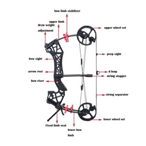 Dual-Purpose Compound Bow Hunting Catapult Bow for Steel Ball and Arrow, Draw Weight 40-65lbs Adjustable,Short-Axis Compound Bow,Left/Right Hand Avalible (bow set)