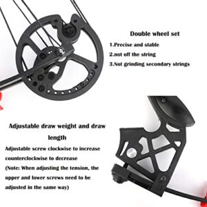 Dual-Purpose Compound Bow Hunting Catapult Bow for Steel Ball and Arrow, Draw Weight 40-65lbs Adjustable,Short-Axis Compound Bow,Left/Right Hand Avalible (bow set)