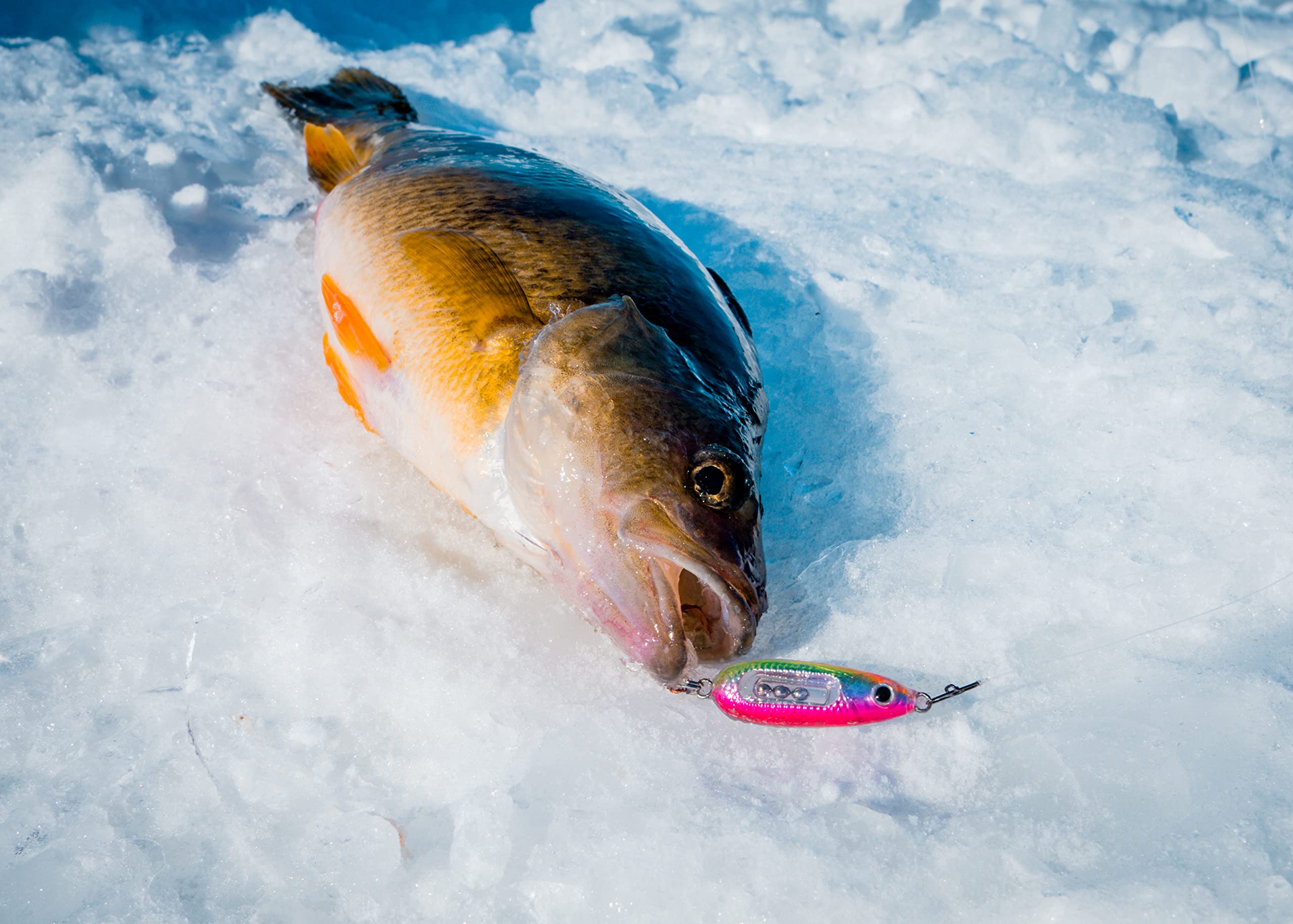 Northland Fishing Tackle Glass Buck-Shot Ice Fishing Jigging Spoon, Glo White, 3/32 Oz for Walleye, Perch, and Crappie