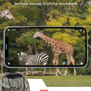 REOLINK KEEN Ranger PT Cellular Trail Camera, 3G/4G LTE, 360° Full View, 2K Live Video&Playback on Phone, No-Glow IR, Solar Powered Game Camera, 2K Night Vision, Smart Motion Activated, No WiFi Needed